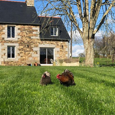 Maison Chic Proche Du Mont Saint Michel Marcilly  Kültér fotó