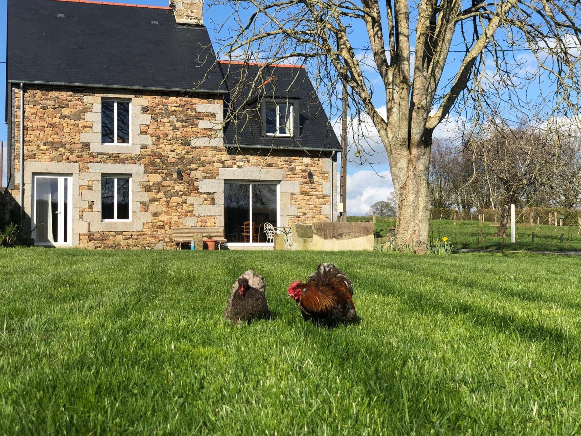 Maison Chic Proche Du Mont Saint Michel Marcilly  Kültér fotó